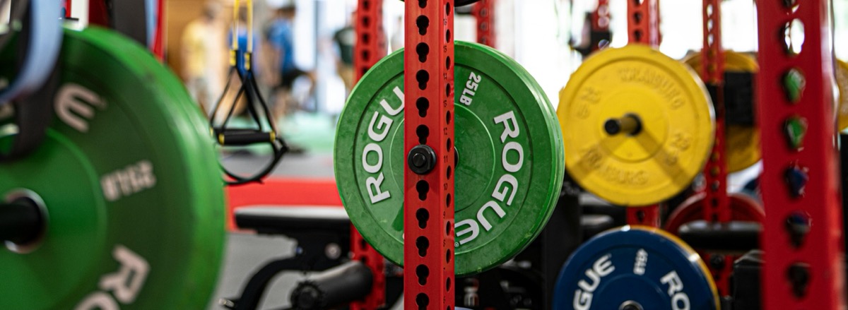 Rogue gym rack with bumper plates
